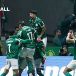 Icon: Palmeiras