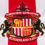 Sunderland štrajk pre medzinárodného ochrancu- klinické nevyhnutné