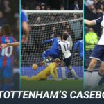 Tottenham Bagring ponúka vynikajúce informácie pre vlkov pred ich popredným organizáciou organizácie