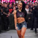 Významná celebrita WWE uplatňuje tvrdenie o poistení s úprimným poistením v súvislosti s AJ Lee