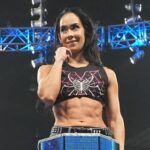 3 faktory WWE zmenila AJ Leeho s bývalým majstrom sveta