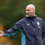 Steve Borthwick zdvihol kryt tajného stretnutia s kriketovým trénerom Brendanom McCullumom