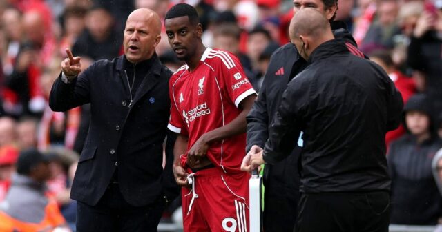 Arne Port kladie dôraz na Alexandra Isaka a Liverpool potrebuje|Futbal|Športovú aktivitu 

