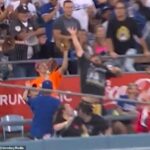 Fanúšik v oranžovom tričku zachytil v stredu loptu domácich Vlada Guerrera ml