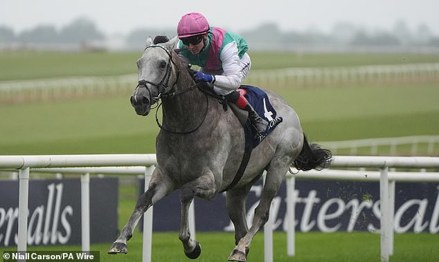 CALUM McCLURKIN: Naliehavo vidieť, že niekoľko celebrít minulého obdobia zostáva Field of Gold vyhral v tejto sezóne Írsku Guineu a St James' Palace Stakes