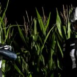 Celočierne vlákna Nebrasky vedú v 10. týždni univerzitných futbalových uniforiem