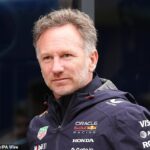 Christian Horner bol v kontakte s „skoro“ každý tím od svojej sekery od Red Bull