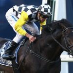 Austrálsky pretekársky priemysel je v smútku po smrti dvojnásobného víťaza Cox Plate So You Think (na obrázku)