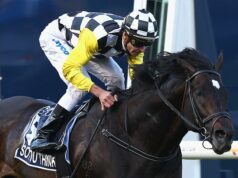 Dvojnásobný šampión v Cox Plate zomrel len niekoľko dní pred pretekmi, ktoré ovládal: „Nedosiahnete žiadny typ oveľa lepšieho ako on“ Austrálsky pretekársky priemysel je v smútku po smrti dvojnásobného víťaza Cox Plate So You Think (na obrázku)