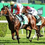 Hongkonský valach Ka Ying Rising (na obrázku) potvrdil svoj status superhviezdy víťazstvom v najbohatších dostihoch sveta na tráve, Everest (1200 m) v Royal Randwick za 20 miliónov dolárov.