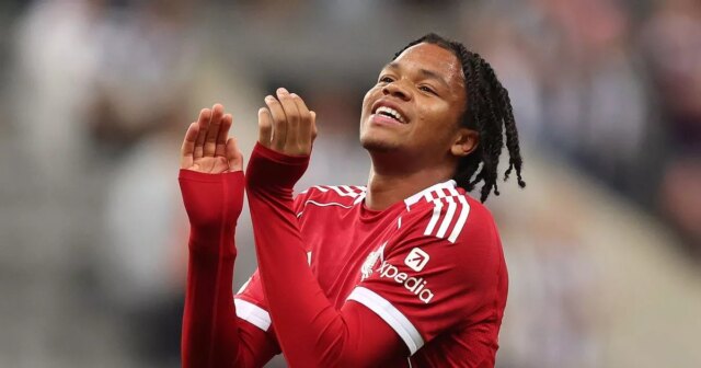 Rio Ngumoha oslavuje na plný úväzok po víťazstve tímu v zápase Premier League medzi Newcastle United a Liverpool v parku St James '. 