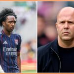 Malick Fofana v akcii pre Olympique Lyon