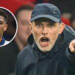 Murphy Half Ideal s „smiešnym“ rozhodnutím Bellingham uprostred 2 dôležitých faktorov pre glóbusový hrnček Snub