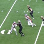 Fanúšikovia zostali spaľujúci po tom, čo úradníci vylúčili dotyk Patriots pre zjavný OPI - napriek tomu, že sa do hry nezúčastnili Stefon Diggs a Kool -Aid McKinstry