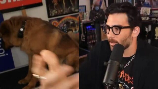 Prečo si nasledovníci myslia, že Hasanabi mal na svojom psovi „šokový golier“, Kaya? Objavený konflikt 

