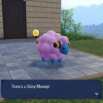 Nájdite Mareep vo Wild Zone 1