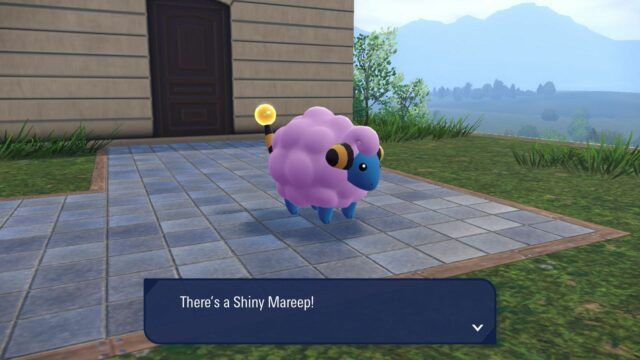 Nájdite Mareep vo Wild Zone 1