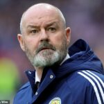 Manažér Škótska Steve Clarke opísal výkon svojho tímu ako „škrabanca hlavy“