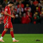 Počas zápasu medzi Walesom a Belgickom prechádza potkan