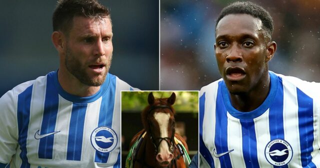 James Milner (vľavo) a Danny Welbeck patria medzi majiteľov Čajok jedenásť