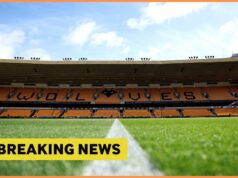 Vlci sa blížia k podpisu Patrika Mercada Jorgen Strand Larsen v akcii pre vlkov