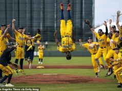 Ako Savannah Bananas ovládli Ameriku a stali sa kultúrnym fenoménom s väčším počtom fanúšikov ako Major League Baseball Savannah Bananas sa stali bejzbalovým fenoménom v celých Spojených štátoch