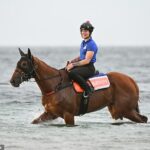 Obľúbený závod Half Yours nie je cudzí na mokre a je osvedčeným hráčom na ťažkej trati