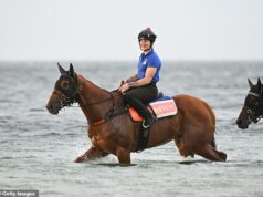 Ako ovplyvní mokrá trať vášho pretekára v Melbourne Cup, ak dážď zasiahne Flemington na preteky v roku 2025, ktoré zastaví národ? Obľúbený závod Half Yours nie je cudzí na mokre a je osvedčeným hráčom na ťažkej trati