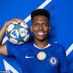 Estevao Willian oficiálne prestúpil do Chelsea z Palmeiras začiatkom tohto roka po dovŕšení 18 rokov, pričom dohoda by mohla stúpnuť na 55 miliónov libier.