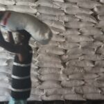 Ako škrty vo financovaní z Trumpovej éry ohrozujú snahy posilniť postavenie haitských farmárov | Správy o jedle