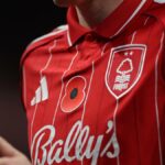 Aký červený kvet sa nosí na dresoch tímov Premier League?