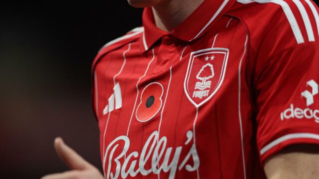 Aký červený kvet sa nosí na dresoch tímov Premier League?
