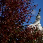 Americký Senát schválil zákon o ukončení doteraz najdlhšieho odstavenia vlády | Politické správy