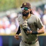 logo pochodového šialenstva