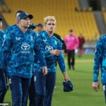 Anglicko podľahlo ďalšej jednodňovej porážke na Novom Zélande a vybielilo sériu 3:0 proti