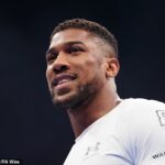 Anthony Joshua prezradil, že pred stretnutím s Jakeom Paulom trénoval s táborom Oleksandra Usyka.