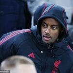 Alexander Isak bol vylúčený zo súboja Liverpoolu s Realom Madrid v utorok večer