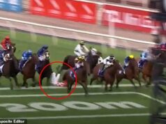 Austrálsky veterán džokej prevezený do nemocnice po tom, čo utrpel hrôzostrašný pád vo Flemingtone Džokej Blake Shinn utrpel v utorok dramatický pád počas deviatych pretekov vo Flemingtone