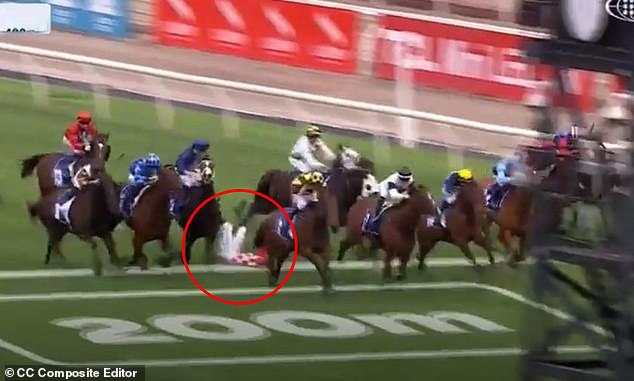 Austrálsky veterán džokej prevezený do nemocnice po tom, čo utrpel Džokej Blake Shinn utrpel v utorok dramatický pád počas deviatych pretekov vo Flemingtone