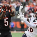 Bengals' Tee Higgins tvorí históriu s neuveriteľným úlovkom TD vs. Bears