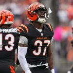 Bengals v zmätku po prehre s Bears