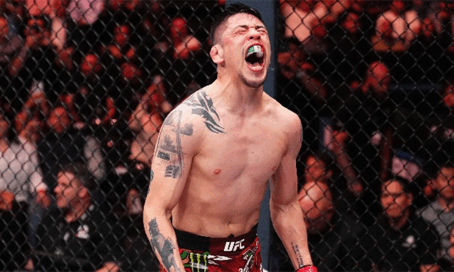 Download app from appStore