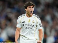 Brighton medzi klubmi Premier League prenasleduje útočníka Realu Madrid, ktorý bol najlepším strelcom Majstrovstiev sveta klubov Útočník Realu Madrid Gonzalo Garcia sa stáva cieľom Brightonu a ďalších anglických klubov