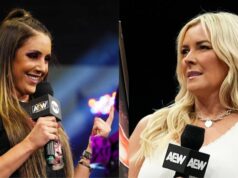 Britt Baker posiela správu Renee Paquette uprostred jej nevysvetliteľnej prestávky v AEW Snímka obrazovky Brittovho komentára na Instagrame.