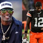 logo pochodového šialenstva