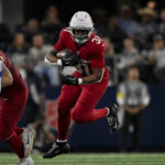 logo pochodového šialenstva