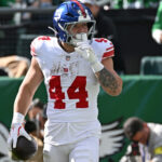 logo pochodového šialenstva