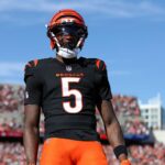 logo pochodového šialenstva