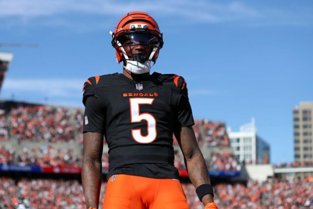 logo pochodového šialenstva