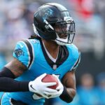 logo pochodového šialenstva